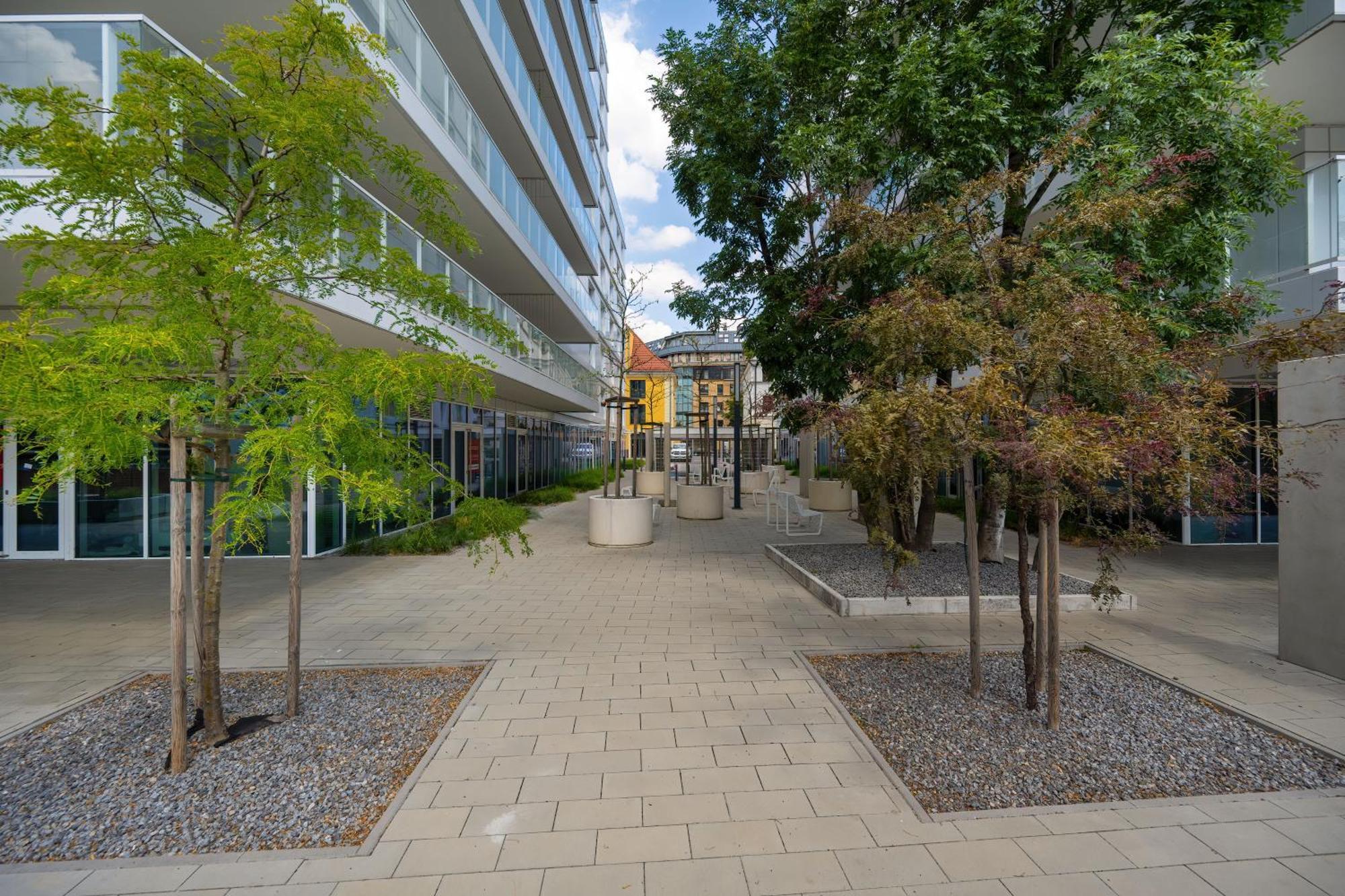 ורוצלב Elegancki Apartament Z Parkingiem Blisko Starego Miasta By Noclegi Renters מראה חיצוני תמונה